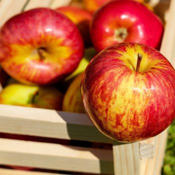 pomme esprit local epicerie don