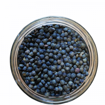 lentille verte flandres esprit local epicerie don