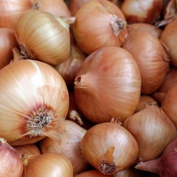 oignon esprit local epicerie don