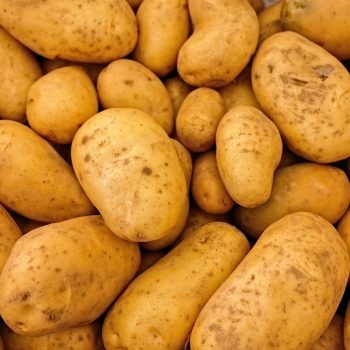 pomme de terre esprit local epicerie don