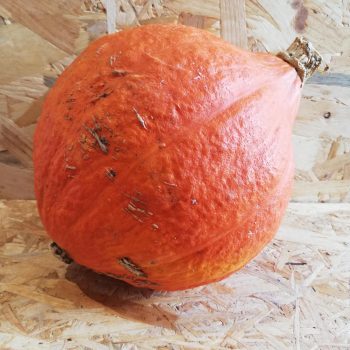 potimarron esprit local epicerie don