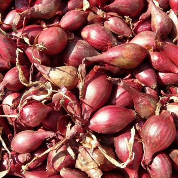 echalote esprit local epicerie don